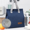 Reusable Insulated Lunch Box